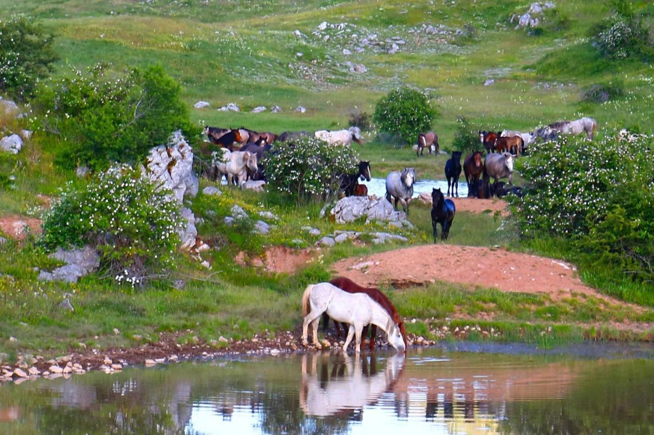 Apartman "Park" Livno Buitenkant foto